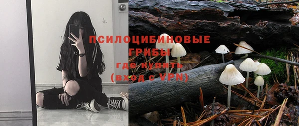 трава Михайловка