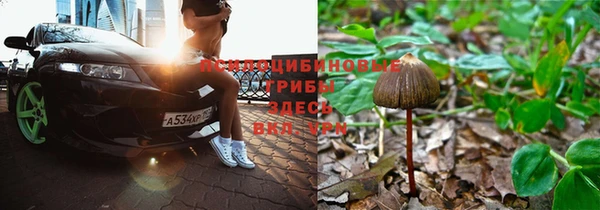 соль курить ск Михайлов