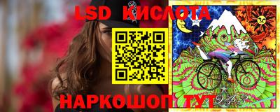 спиды Бийск