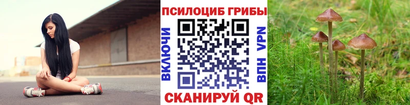 Псилоцибиновые грибы прущие грибы Новосибирск