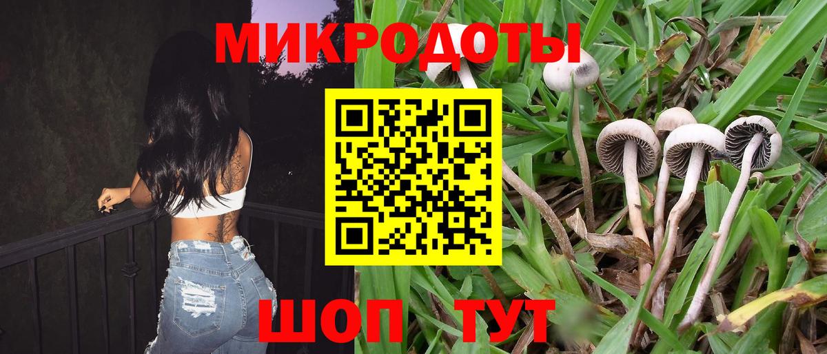 магазин  наркотиков  Вход с VPN  Новосибирск  Галлюциногенные грибы MAGIC MUSHROOMS 